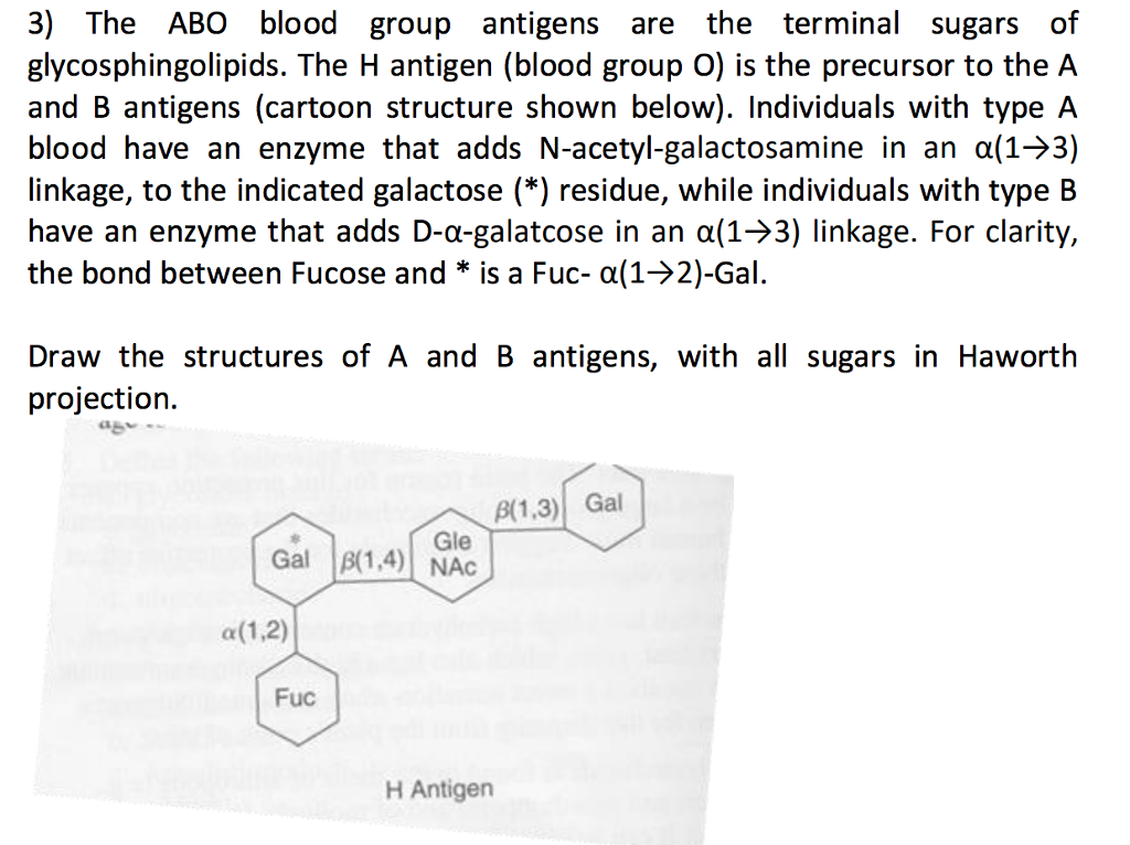 Solved 3) The ABO blood group antigens are the terminal