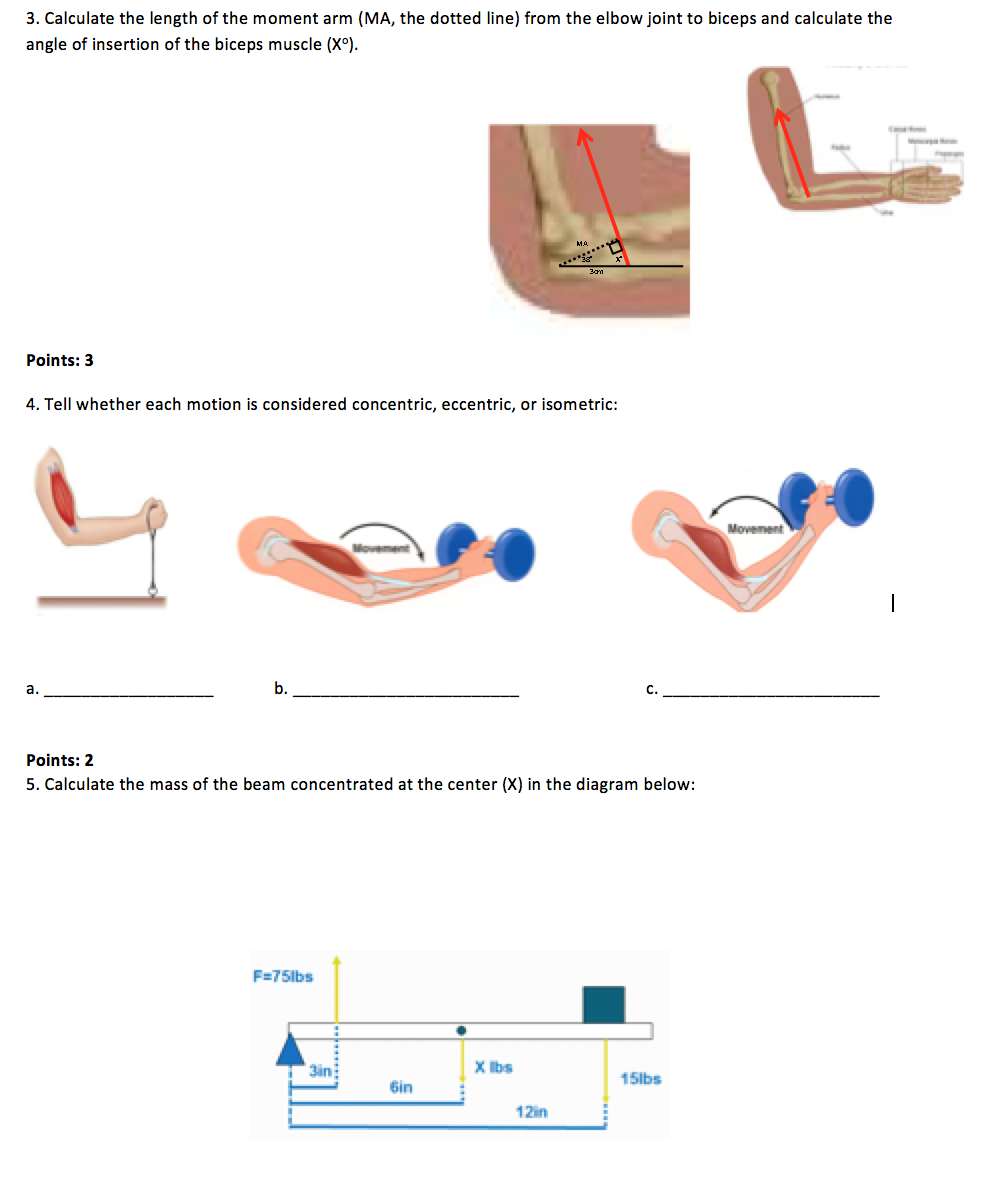 Solved Figure Shows The Human Lower Arm Rotating In The