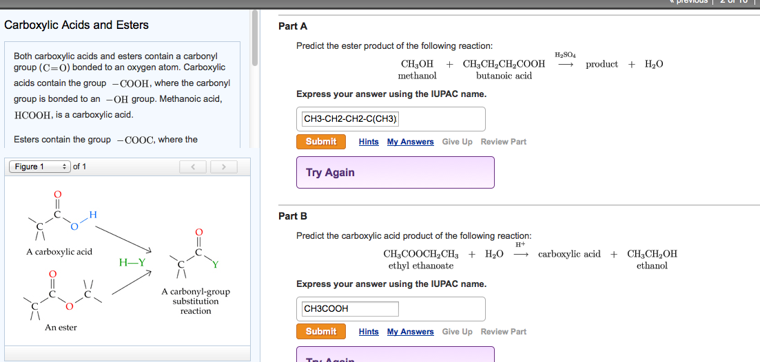 Solved Both carboxylic acids and esters contain a carbonyl | Chegg.com