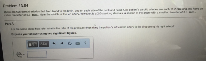 solved-there-are-two-carotid-arteries-that-feed-blood-to-the-chegg