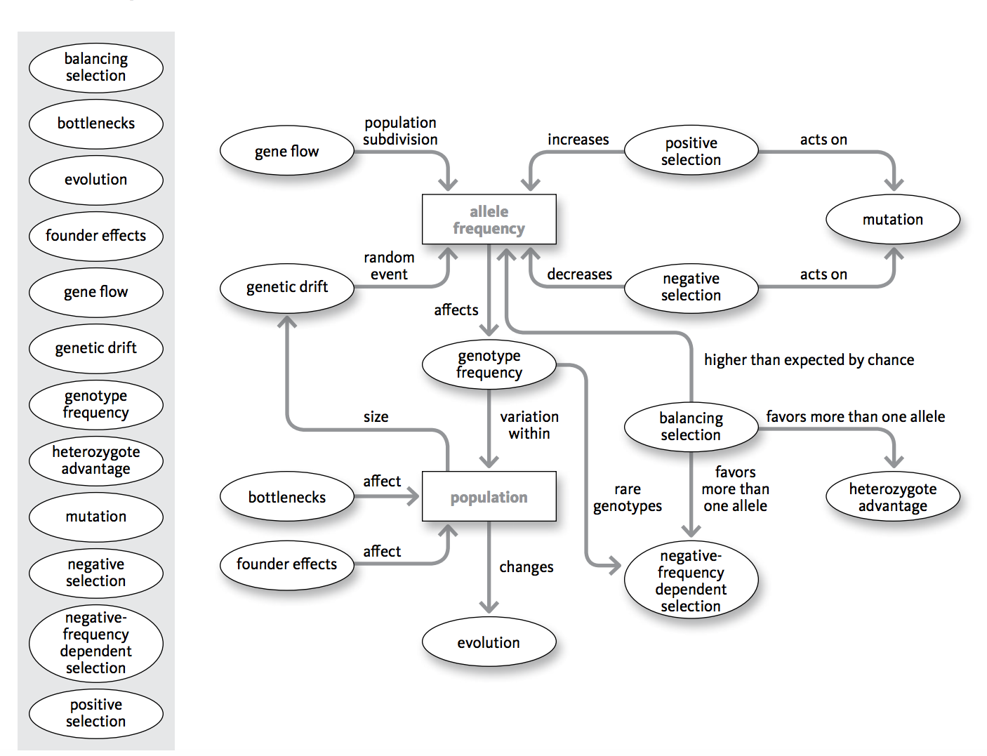 solved-mechanisms-of-evolution-explain-the-flow-chart-how-chegg