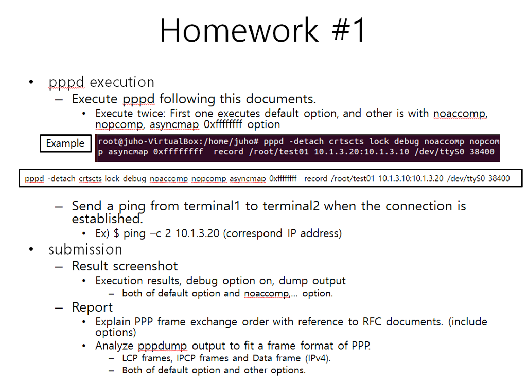 Ppc Code On Assignment Rip Homework #1 PPP survey submit a report of PPP with | Chegg.com