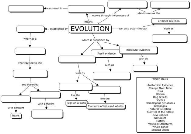 Solved: Create A Concept Map With The Words Below. Above I... | Chegg.com