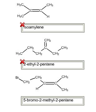 Solved: H3C CH3 H3 Soamylene CH2 CH2 CH3 H3C CH2 -ethyl-2-... | Chegg.com