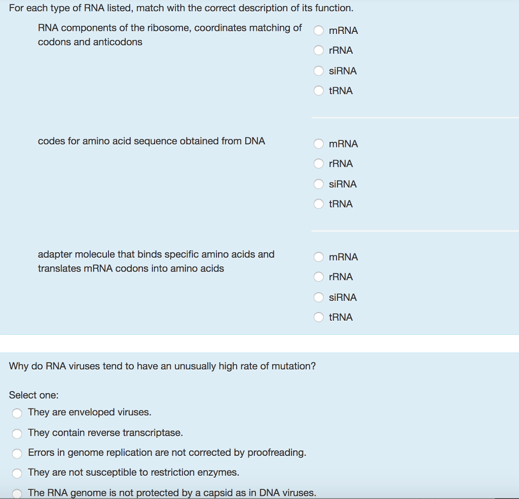 Solved For Each Type Of RNA Listed, Match With The Correct | Chegg.com