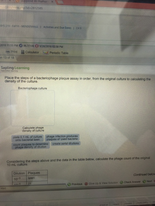 Solved The steps of a bacteriophage plaque assay in order,