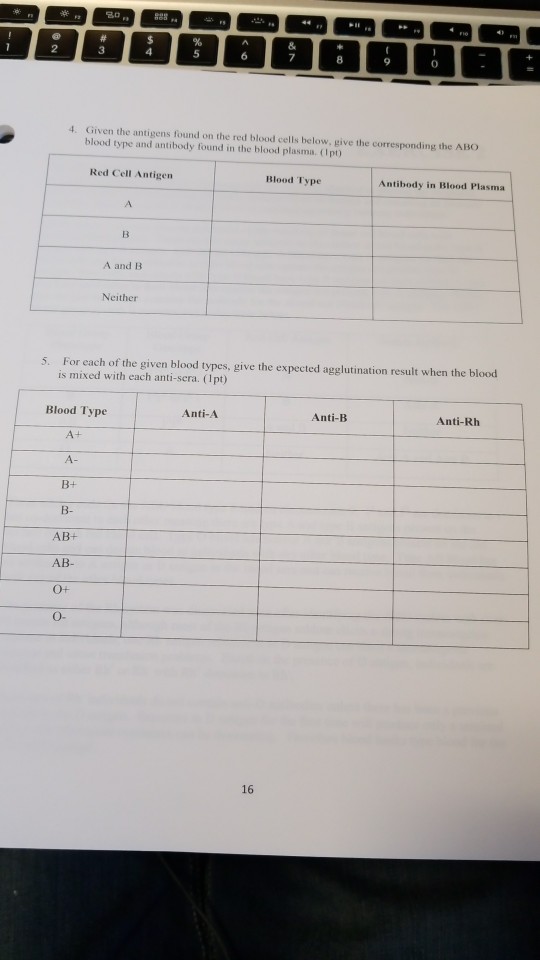 Solved 3 7 0 4. Given the antigens found on the red blood