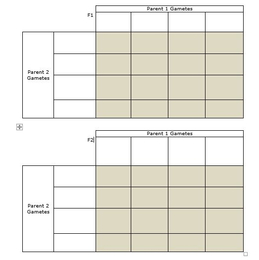 Solved Help With Punnet Square From The F1 Generation To  Chegg.com