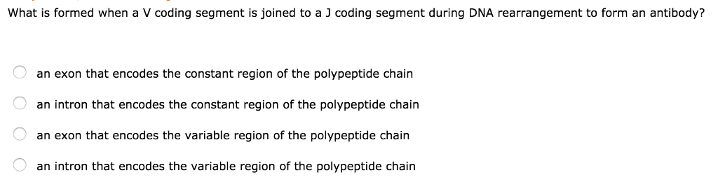Solved What is formed when a V coding segment is joined to a | Chegg.com