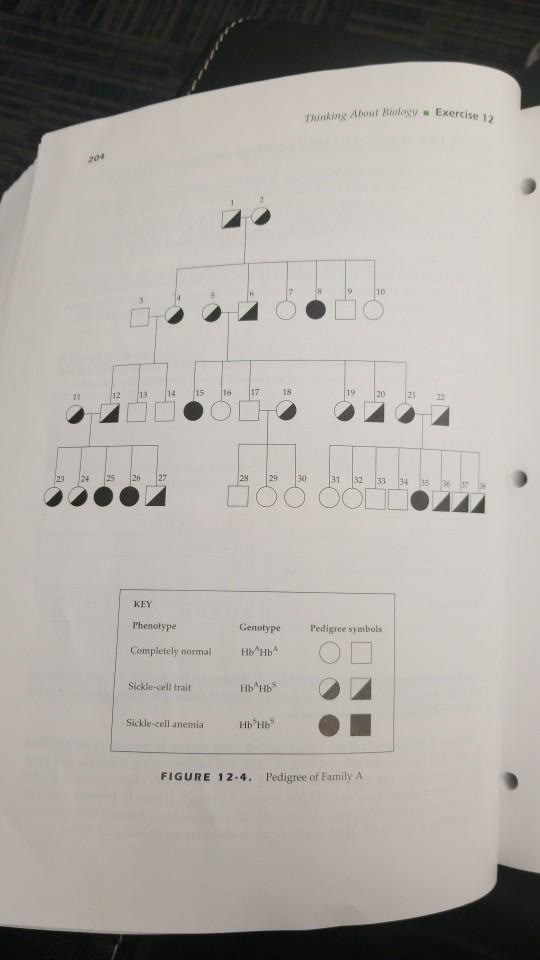 Solved Exercise 12Human Genetics A FAMILY HISTORY OF SICKLE | Chegg.com