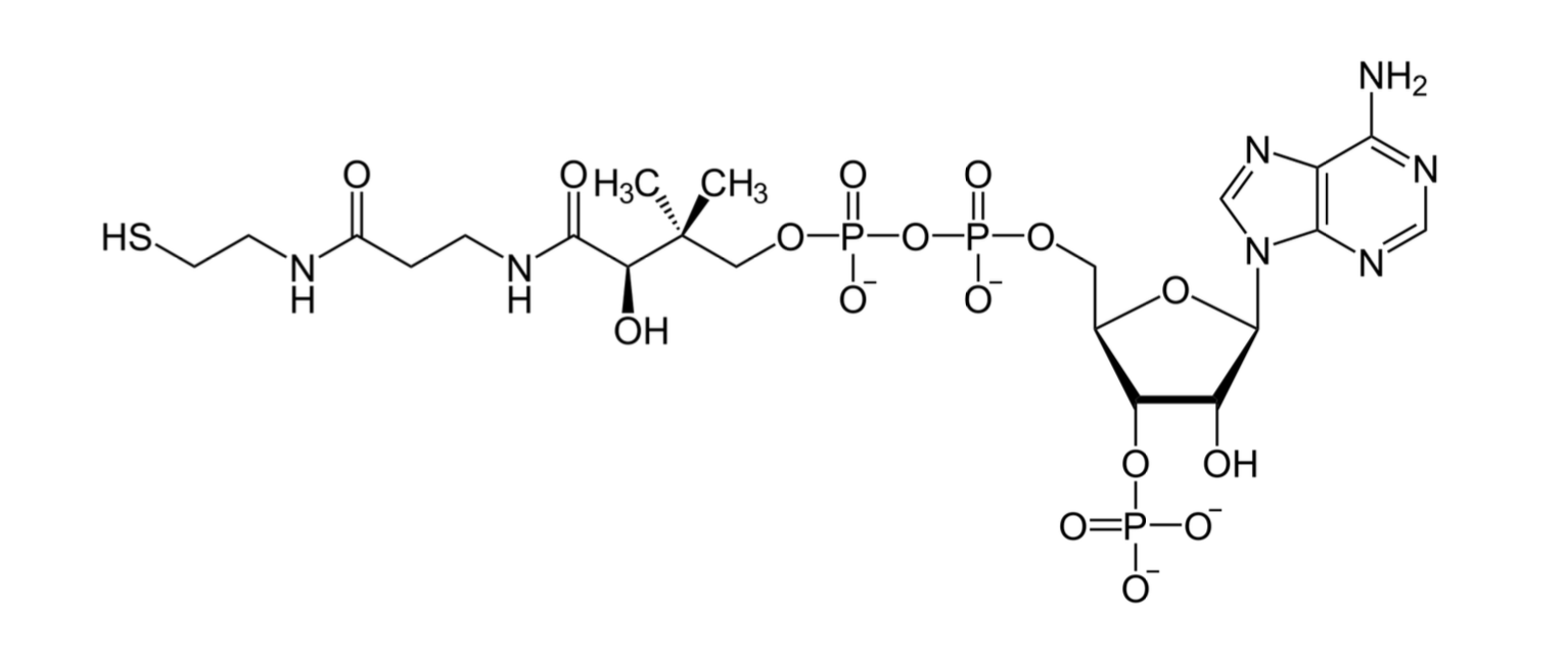 Solved Label the ether, alcohol, carbonyl, and phosphate | Chegg.com