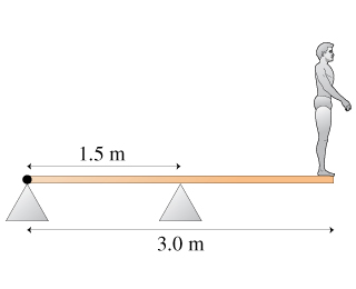 Solved A 61kg diver stands at the end of a 31kg springboard, | Chegg.com