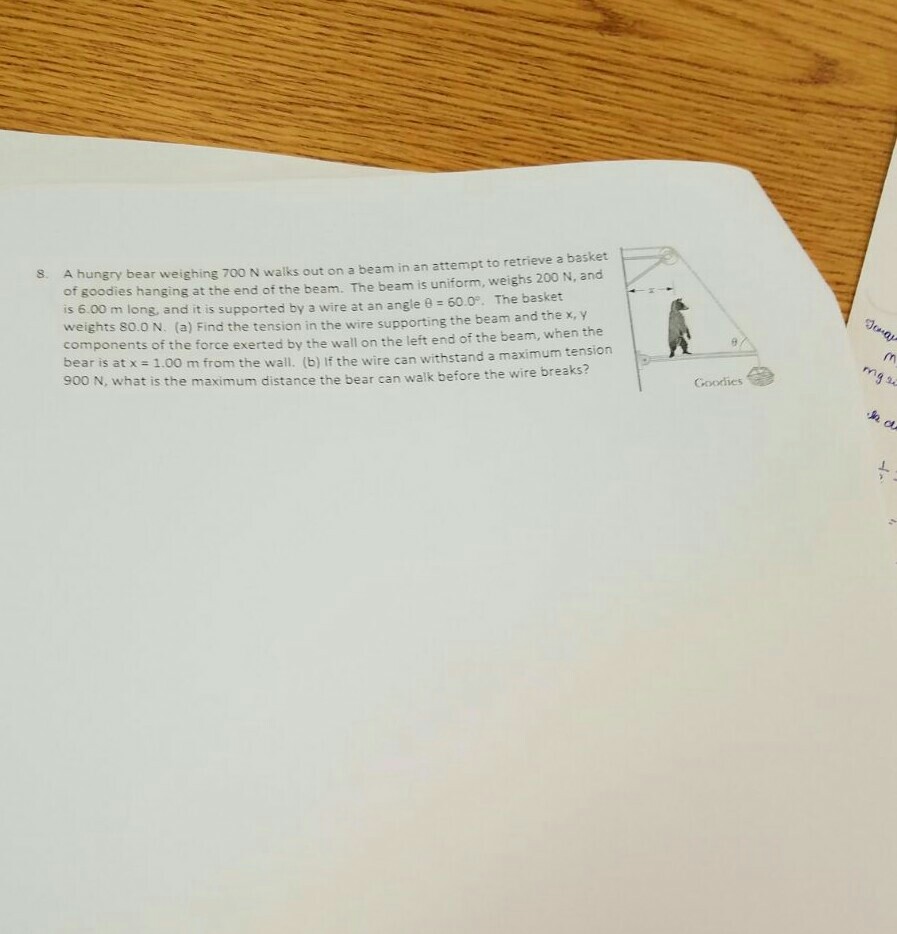 Solved A hungry bear weighing 700 N walks out on a beam in | Chegg.com