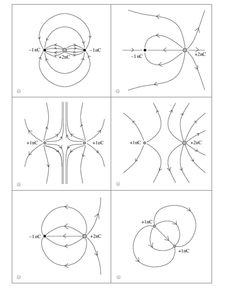 Solved: Only One Of The Electric Field Line Diagrams Shown... | Chegg.com