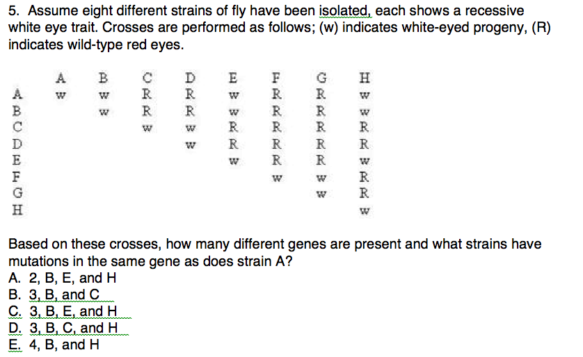 Solved 5. Assume eight different strains of fly have been | Chegg.com