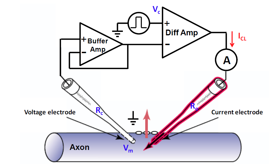 Clamping Down Voltage at Robert Norfleet blog