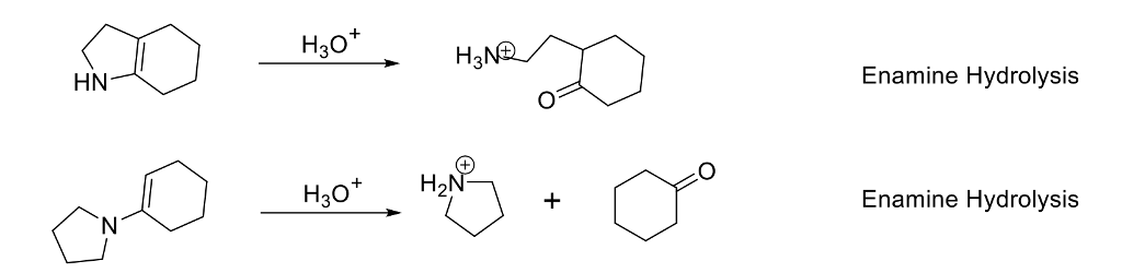 Enamine Hydrolysis Chemistryscore