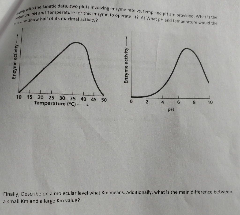 Solved Describe what each term in the Beer's Law equation